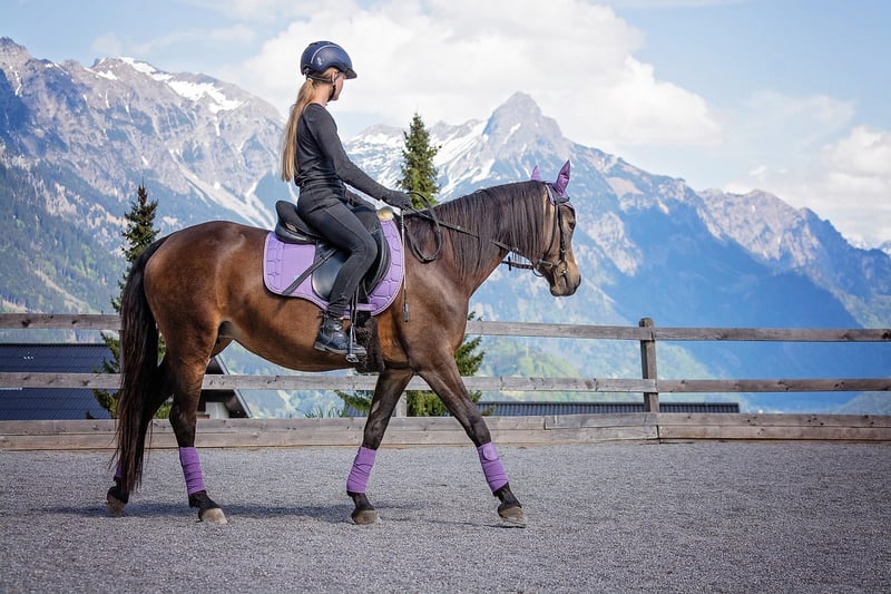 Horseback Riding